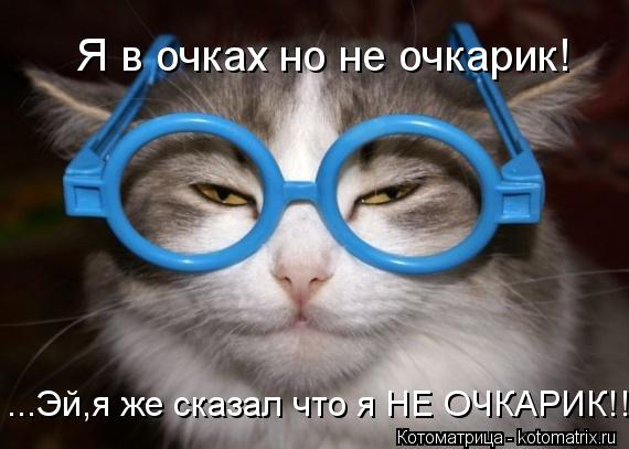 Котоматрица: Я в очках но не очкарик! ...Эй,я же сказал что я НЕ ОЧКАРИК!!!!!!!!