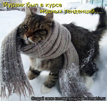 Котоматрица: Мурзик был в курсе  модных тенденций...