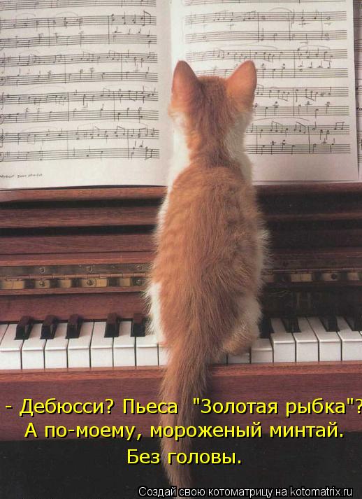 Котоматрица: - Дебюсси? Пьеса  "Золотая рыбка"? А по-моему, мороженый минтай.  Без головы.