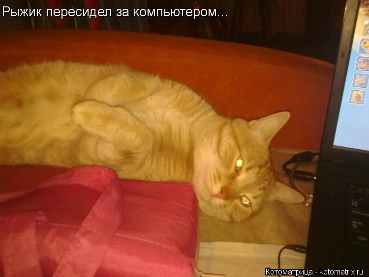 Котоматрица: Рыжик пересидел за компьютером...