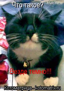 Котоматрица: Что такое?  Что такое? Везде темно!!!