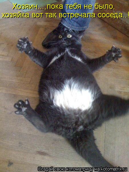 Котоматрица: Хозяин...,пока тебя не было, хозяйка вот так встречала соседа..!