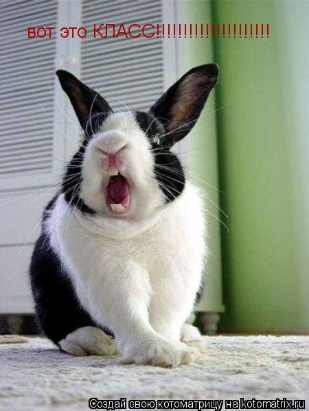 Котоматрица: вот это КЛАСС!!!!!!!!!!!!!!!!!!!!!
