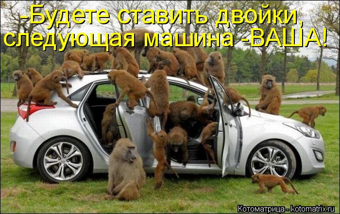 Котоматрица: -Будете ставить двойки,  следующая машина -ВАША!