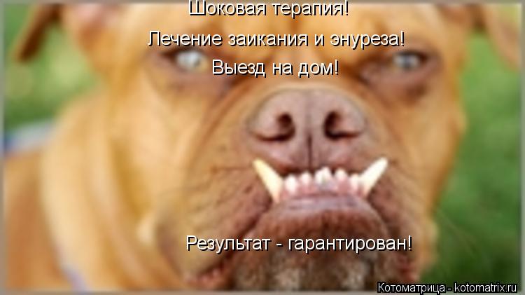 Выезд на дом! Результат - гарантирован! Шоковая терапия! Лечение заикания и энуреза!... Котоматрица: Выезд на дом! Результат - гарантирован! Шоковая терапия! Лечение заикания и энуреза!