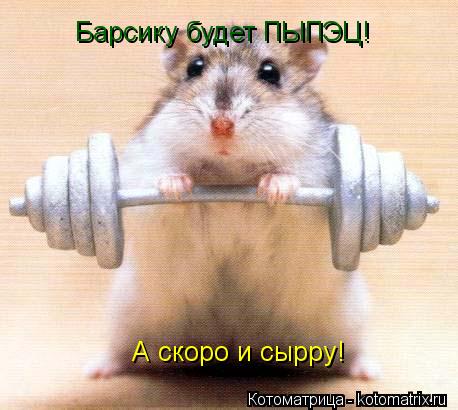 Котоматрица: Барсику будет ПЫПЭЦ! А скоро и сырру!