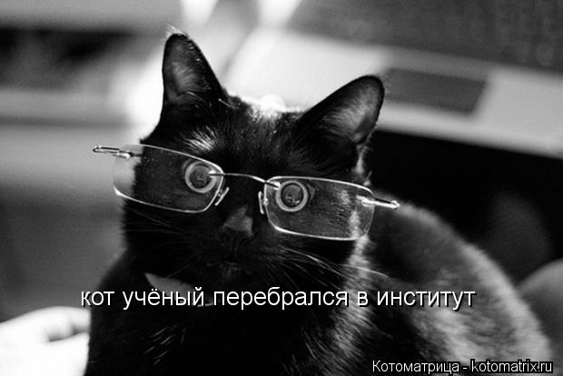 Котоматрица: кот учёный перебрался в институт