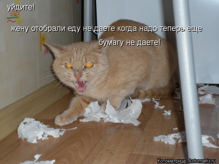 уйдите! жену отобрали еду не даете когда надо теперь еще бумагу не даете!... Котоматрица: уйдите! жену отобрали еду не даете когда надо теперь еще бумагу не даете!