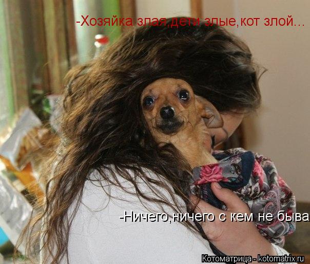 -Хозяйка злая,дети злые,кот злой... -Ничего,ничего с кем не бывает... Котоматрица: -Хозяйка злая,дети злые,кот злой... -Ничего,ничего с кем не бывает