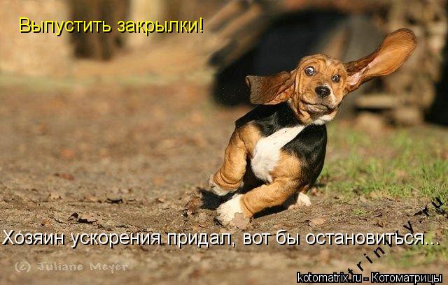 Котоматрица: Выпустить закрылки! Хозяин ускорения придал, вот бы остановиться...