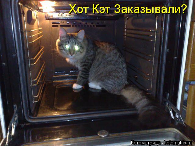 Хот Кэт Заказывали?... Котоматрица: Хот Кэт Заказывали?