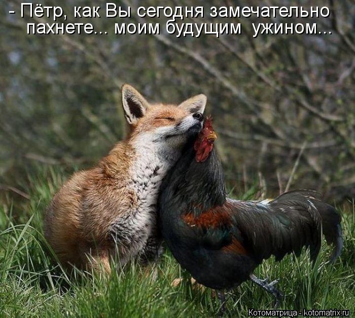 - Пётр, как Вы сегодня замечательно пахнете... моим будущим ужином...... Котоматрица: - Пётр, как Вы сегодня замечательно пахнете... моим будущим ужином...