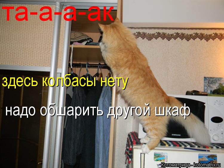та-а-а-ак здесь колбасы нету надо обшарить другой шкаф... Котоматрица: та-а-а-ак здесь колбасы нету надо обшарить другой шкаф