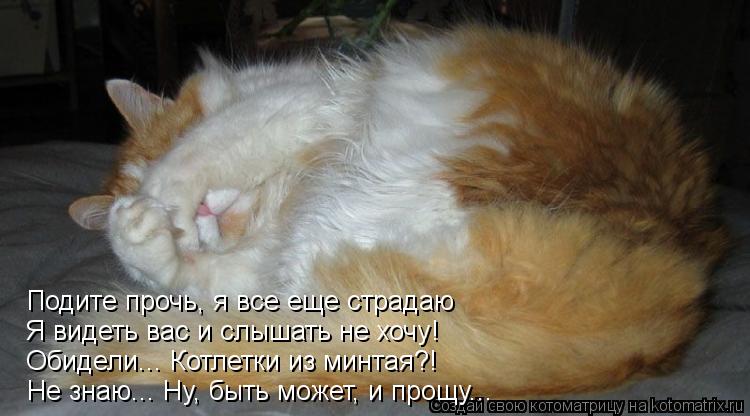 Подите прочь, я все еще страдаю Я видеть вас и слышать не хочу! Обидели... Котлетки из минтая?! Не зн... Котоматрица: Подите прочь, я все еще страдаю Я видеть вас и слышать не хочу! Обидели... Котлетки из минтая?! Не знаю... Ну, быть может, и прощу...