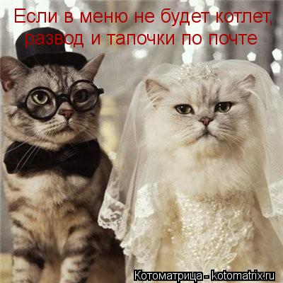 Котоматрица: Если в меню не будет котлет, развод и тапочки по почте