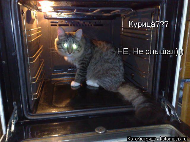 Котоматрица: Курица???  - НЕ, Не слышал)))