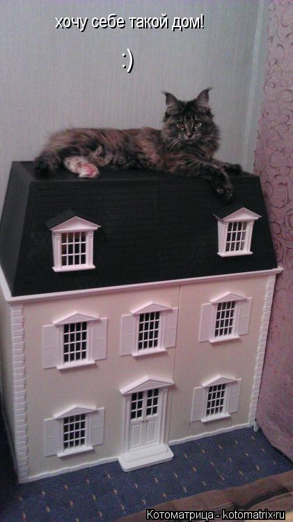 Котоматрица: хочу себе такой дом! :)