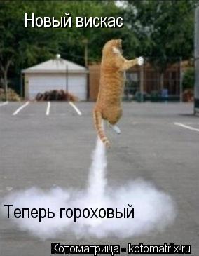 Котоматрица: Новый вискас Теперь гороховый