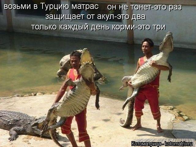 Котоматрица: возьми в Турцию матрас он не тонет-это раз защищает от акул-это два только каждый день корми-это три