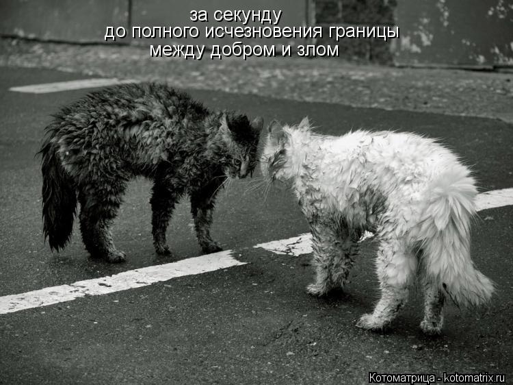 http://kotomatrix.ru/images/lolz/2012/05/22/8847e2ccd3.jpg