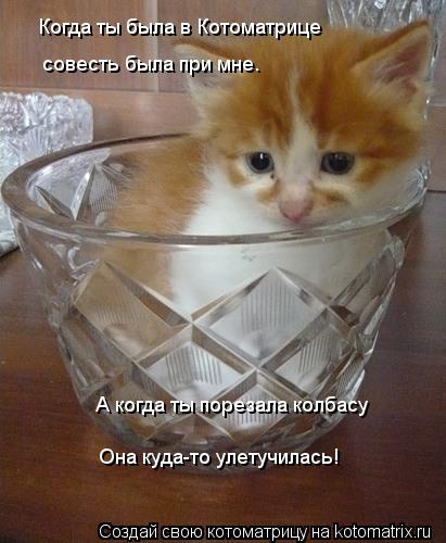 Котоматрица: Когда ты была в Котоматрице совесть была при мне. А когда ты порезала колбасу Она куда-то улетучилась!