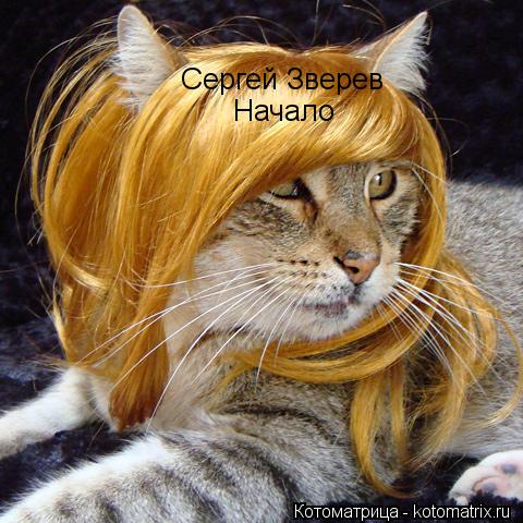 Котоматрица: Cергей Зверев Начало