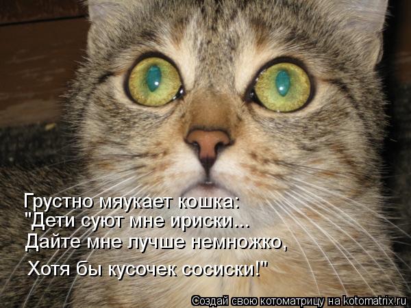 Грустно мяукает кошка: "Дети суют мне ириски... Дайте мне лучше немножко, Хотя бы кусочек сосиски!"... Котоматрица: Грустно мяукает кошка: "Дети суют мне ириски... Дайте мне лучше немножко, Хотя бы кусочек сосиски!"