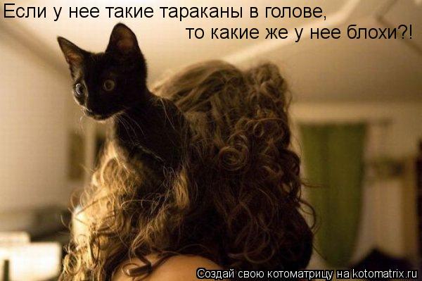 Котоматрица: Если у нее такие тараканы в голове, то какие же у нее блохи?!