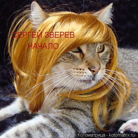 Котоматрица: СЕРГЕЙ ЗВЕРЕВ НАЧАЛО