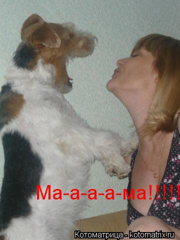 Котоматрица: Ма-а-а-а-ма!!!!!