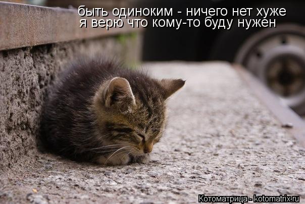 быть одиноким - ничего нет хуже я верю что кому-то буду нужен... Котоматрица: быть одиноким - ничего нет хуже я верю что кому-то буду нужен