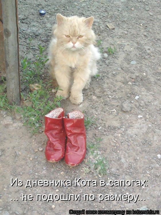 Котоматрица: Из дневника Кота в сапогах: ... не подошли по размеру...