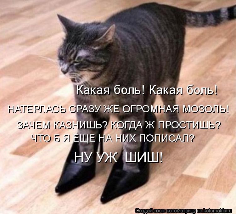 Котоматрица: Какая боль! Какая боль!  НАТЕРЛАСЬ СРАЗУ ЖЕ ОГРОМНАЯ МОЗОЛЬ!  ЗАЧЕМ КАЗНИШЬ? КОГДА Ж ПРОСТИШЬ?  ЧТО Б Я ЕЩЕ НА НИХ ПОПИСАЛ?   НУ УЖ  ШИШ!
