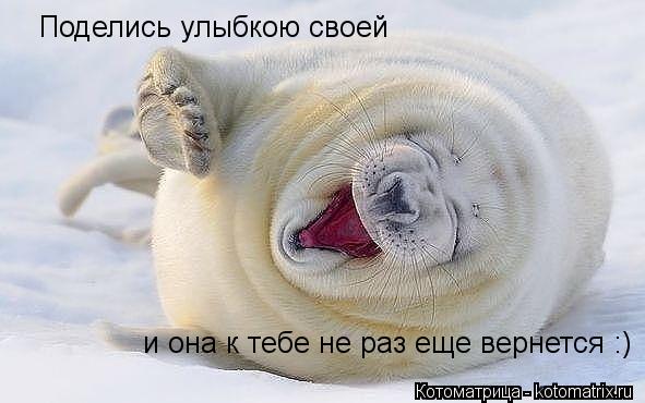 Котоматрица: Поделись улыбкою своей и она к тебе не раз еще вернется :)