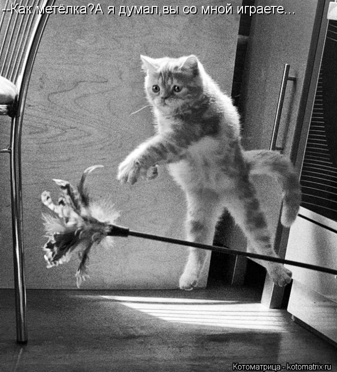 Котоматрица: спасу мир от мышей!!!!!!! я, ИНОПЛАНЕТЯНИН, спасатель!