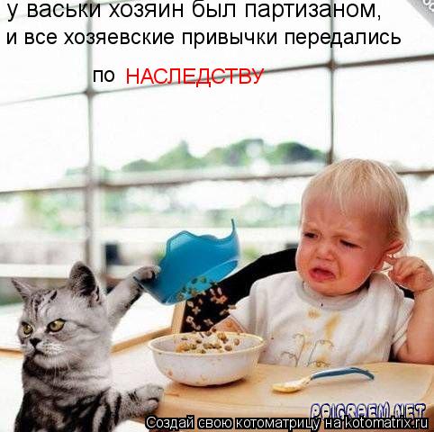 Котоматрица: у васьки хозяин был партизаном, и все хозяевские привычки передались по НАСЛЕДСТВУ