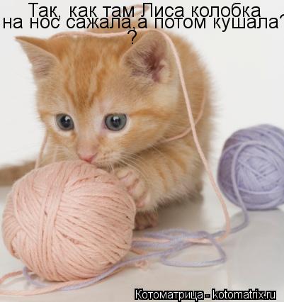 Котоматрица: Так, как там Лиса колобка  на нос сажала,а потом кушала? ?