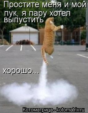 Простите меня и мой пук, я пару хотел выпустить хорошо...... Котоматрица: Простите меня и мой пук, я пару хотел выпустить хорошо...