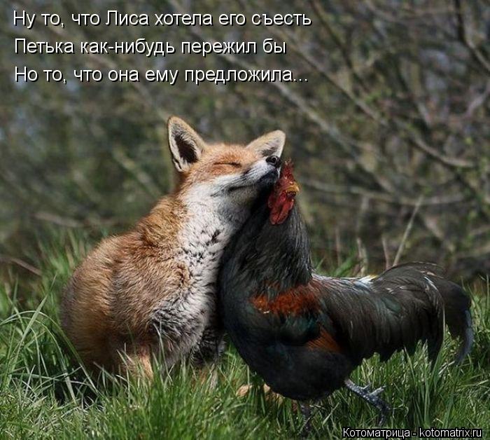 Котоматрица: Ну то, что Лиса хотела его съесть Петька как-нибудь пережил бы Но то, что она ему предложила...