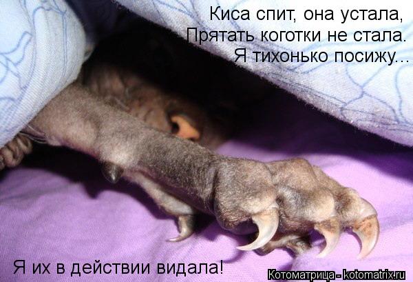 Я тихонько посижу... Я их в действии видала! Прятать коготки не стала. Киса спит, она устала,... Котоматрица: Я тихонько посижу... Я их в действии видала! Прятать коготки не стала. Киса спит, она устала,