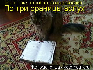 Котоматрица: И вот так я отрабатываю наказания... По три сраницы вслух