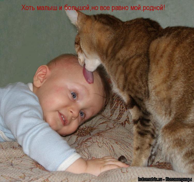 Котоматрица: Хоть малыш и большой,но все равно мой,родной!