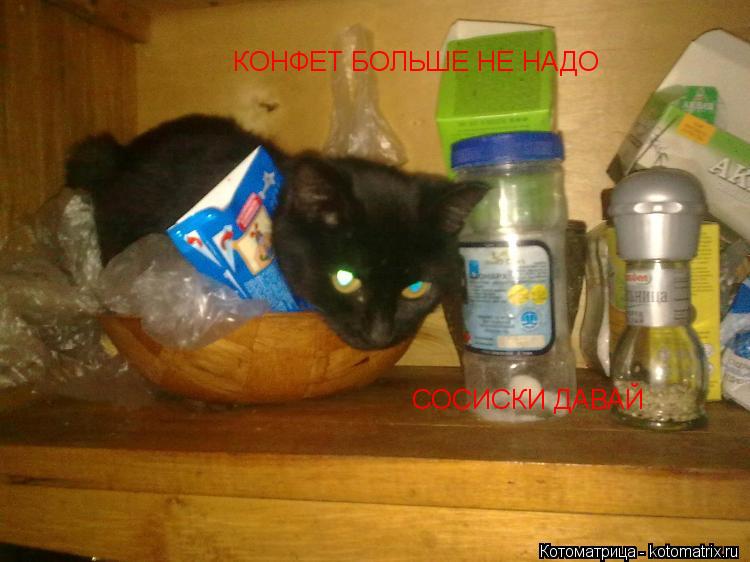 КОНФЕТ БОЛЬШЕ НЕ НАДО СОСИСКИ ДАВАЙ... Котоматрица: КОНФЕТ БОЛЬШЕ НЕ НАДО СОСИСКИ ДАВАЙ