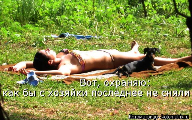 Котоматрица: Вот, охраняю: как бы с хозяйки последнее не сняли