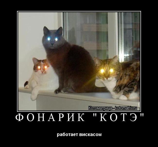 Котоматрица: фонарик "КотЭ" работает вискасом