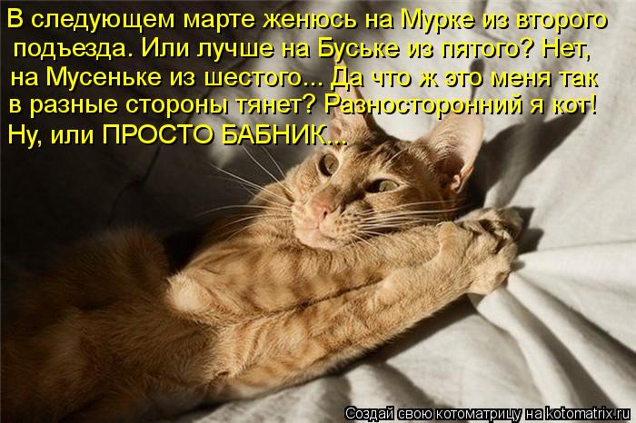 Котоматрица: В следующем марте женюсь на Мурке из второго подъезда. Или лучше на Буське из пятого? Нет, на Мусеньке из шестого... Да что ж это меня так в раз