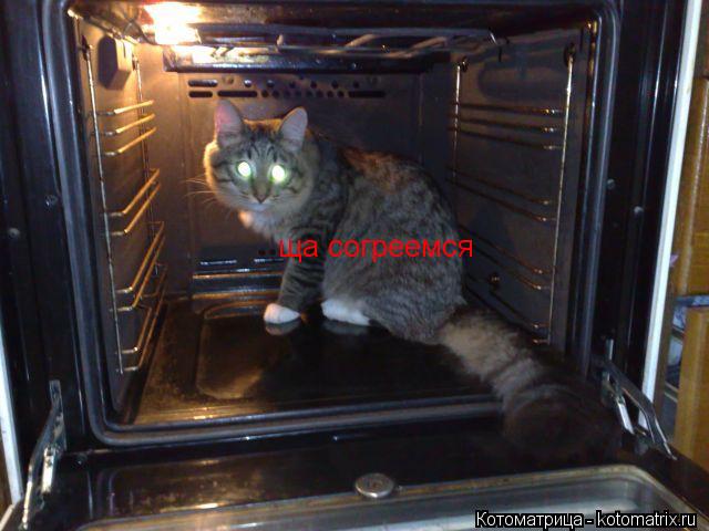 Котоматрица: ща согреемся