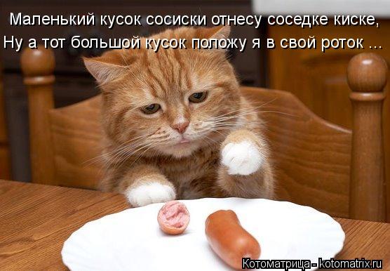 Котоматрица: Маленький кусок сосиски отнесу соседке киске, Ну а тот большой кусок положу я в свой роток ...