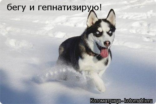 Котоматрица: бегу и гепнатизирую!