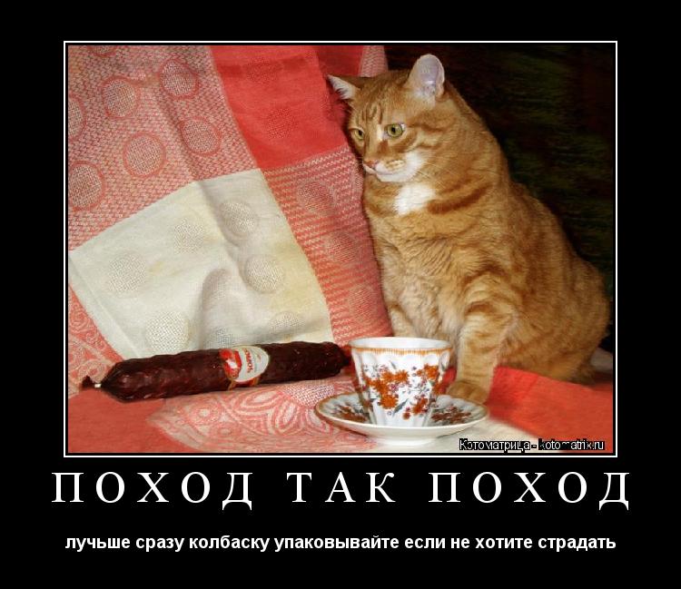 Котоматрица: поход так поход лучьше сразу колбаску упаковывайте если не хотите страдать